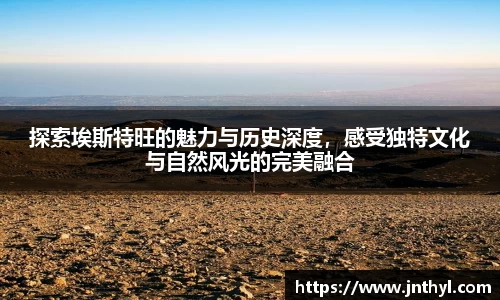 熊猫体育平台